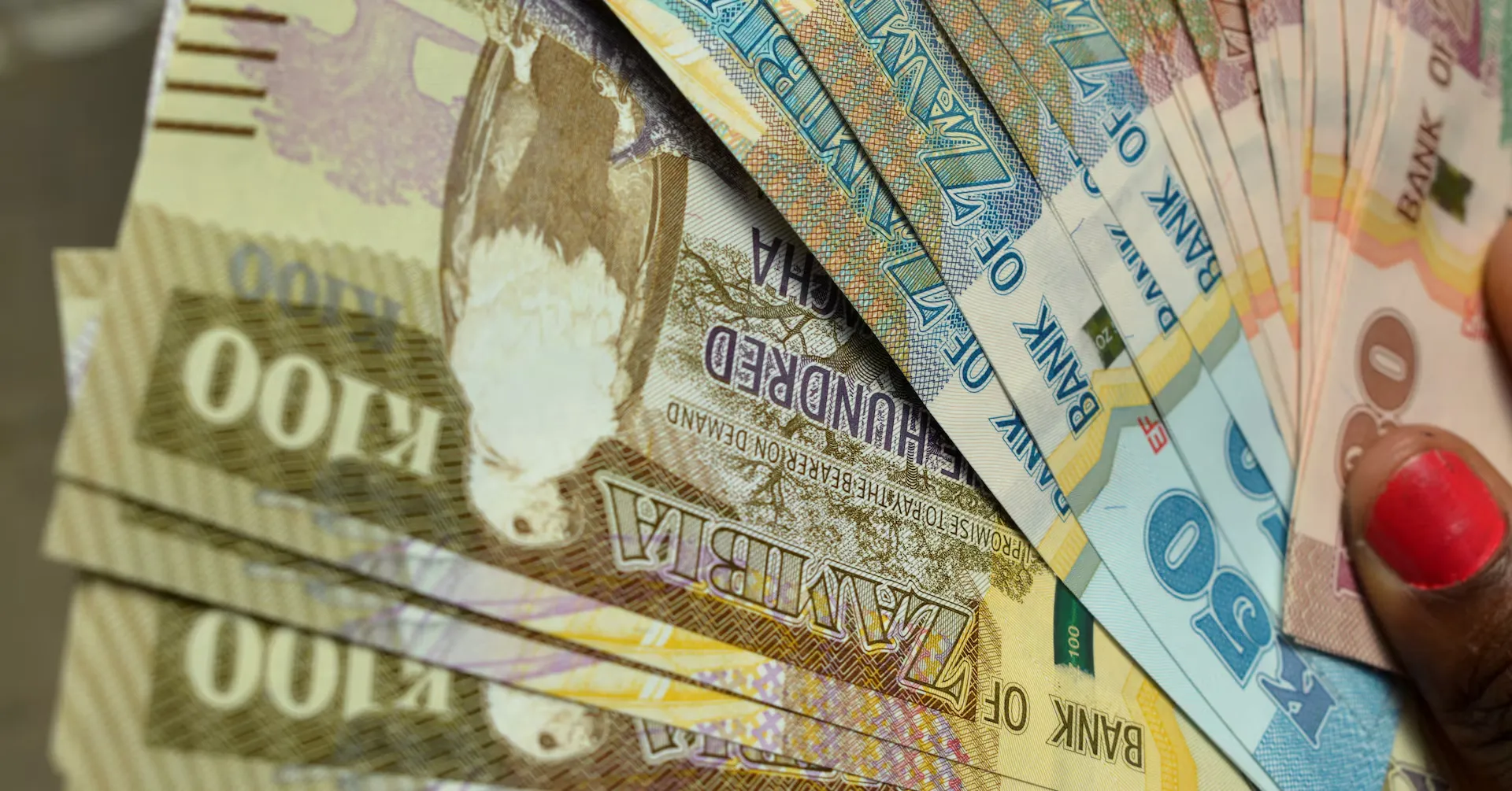 African Currencies Outlook: Several Major Currencies Expected to Fall Against the US Dollar