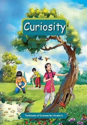 Class 6 Curiosity Science Book Cover